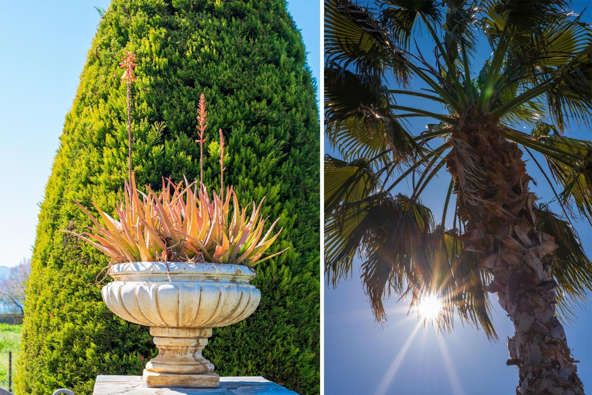 Ferienwohnung Christina'S Twin Palm Trees House Agria Exterior foto